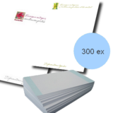 300 papier en-tête A4