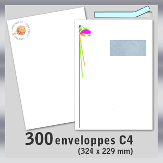 300 enveloppes C4 229x324 mm